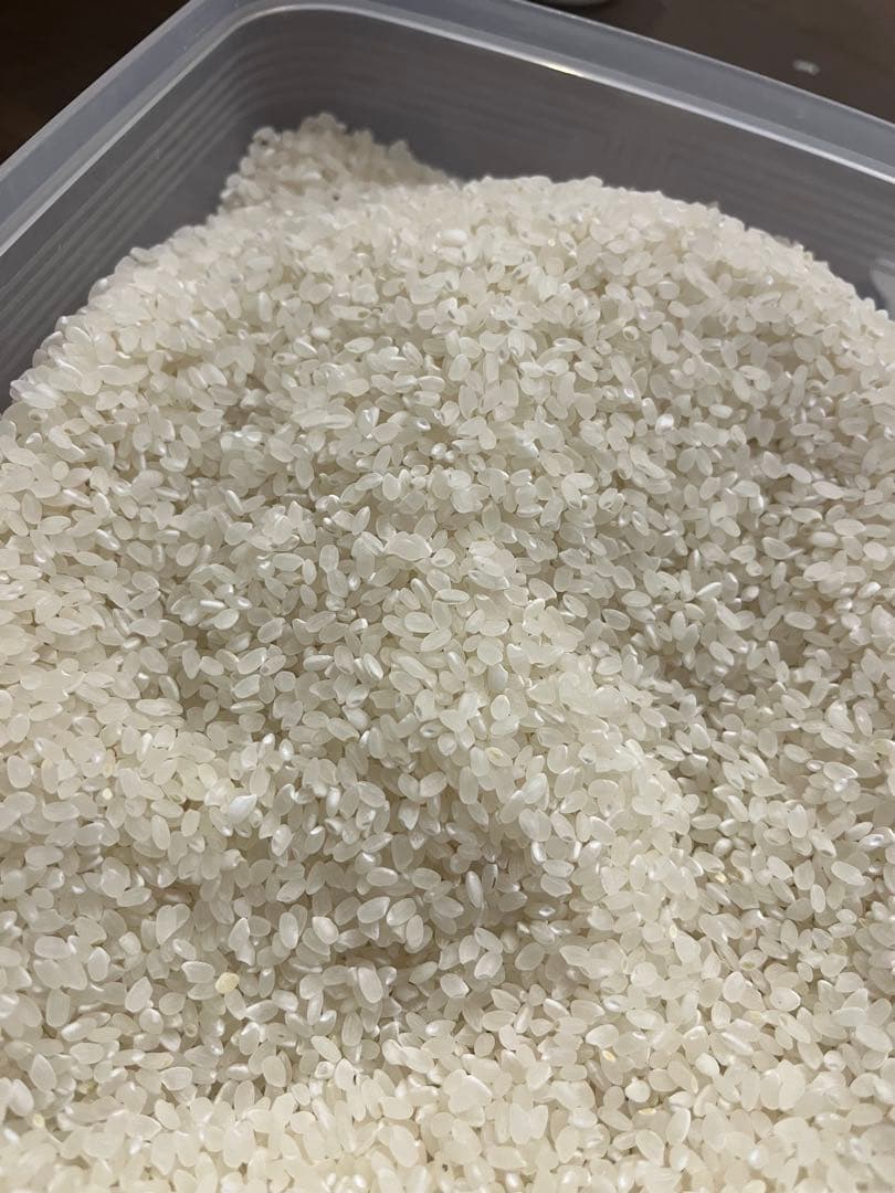 農家直売　コシヒカリ　白米　１０キロ　令和7年兵庫県産　オマケ付き