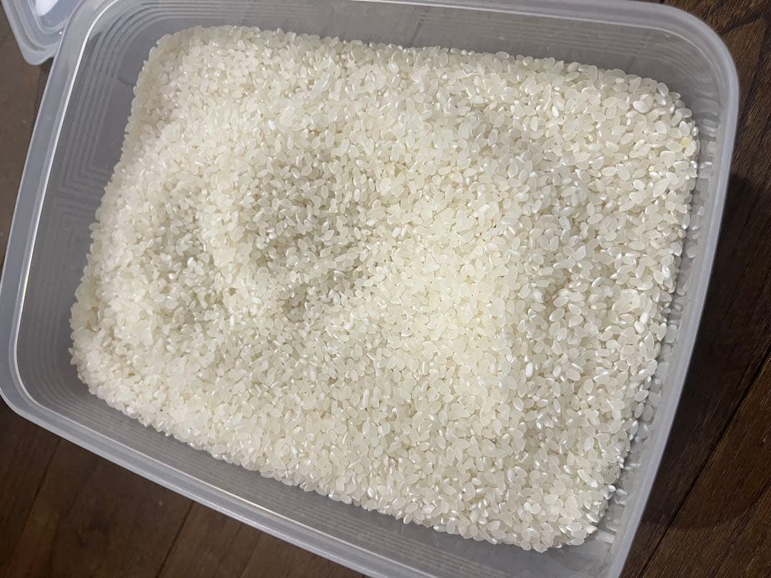 農家直売　コシヒカリ　白米　１０キロ　令和7年兵庫県産　オマケ付き