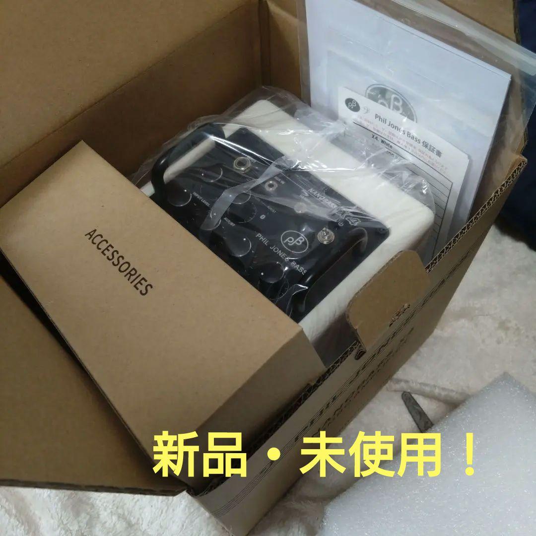 【新品未使用！】PHIL JONES BASS （PJB）NANOBASS X4