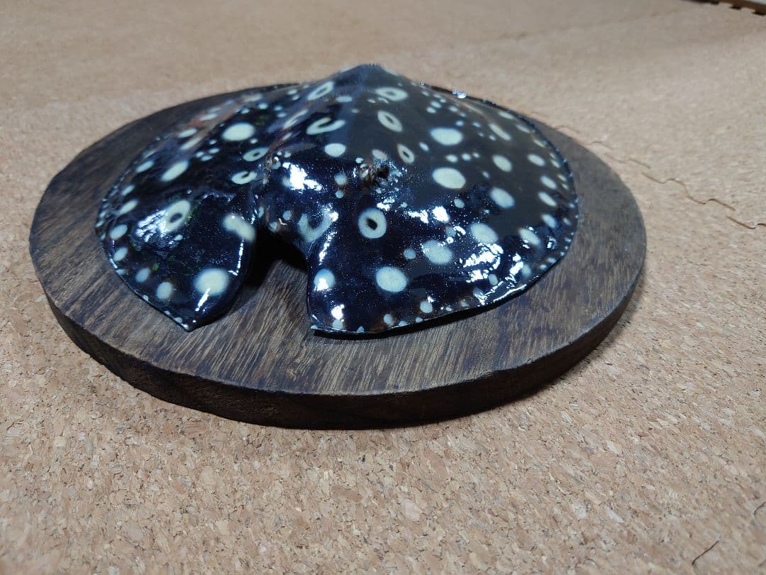 レア物 淡水エイ 剥製本物 熱帯魚 ダイヤモンドポルカ 標本