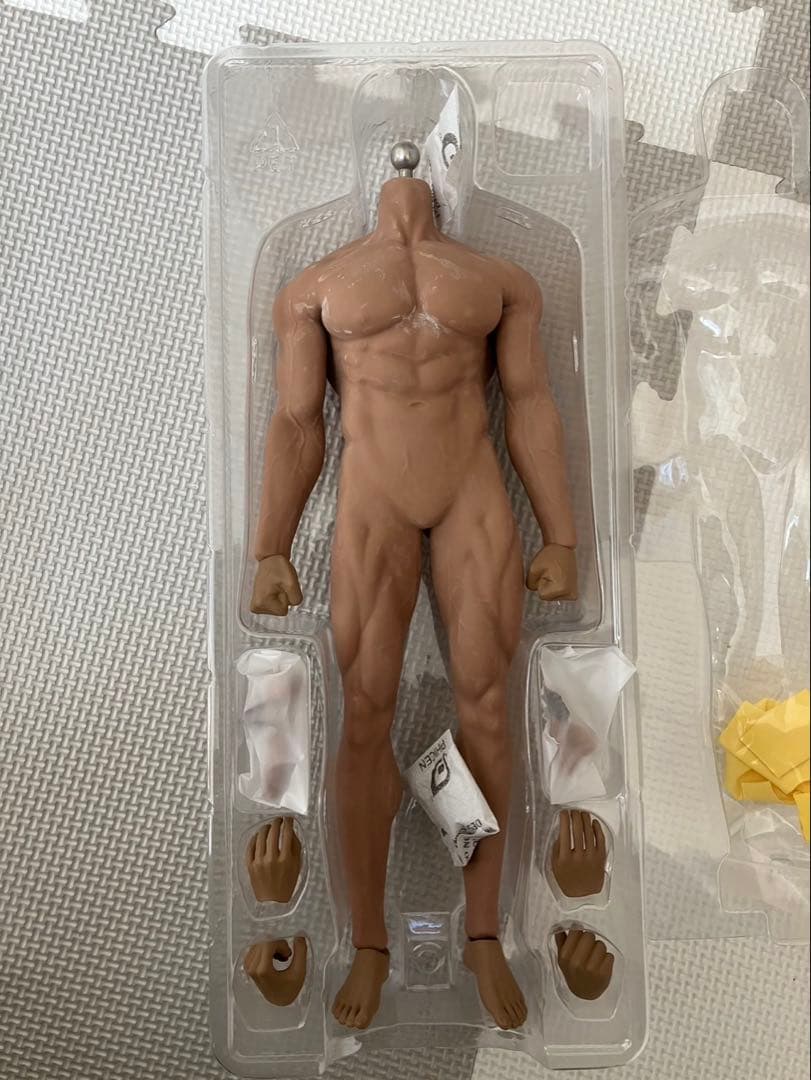 1/6 12インチ シームレス　素体　男性②