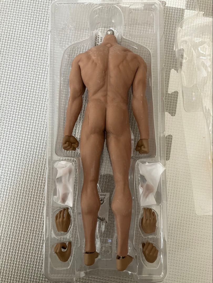 1/6 12インチ シームレス　素体　男性②