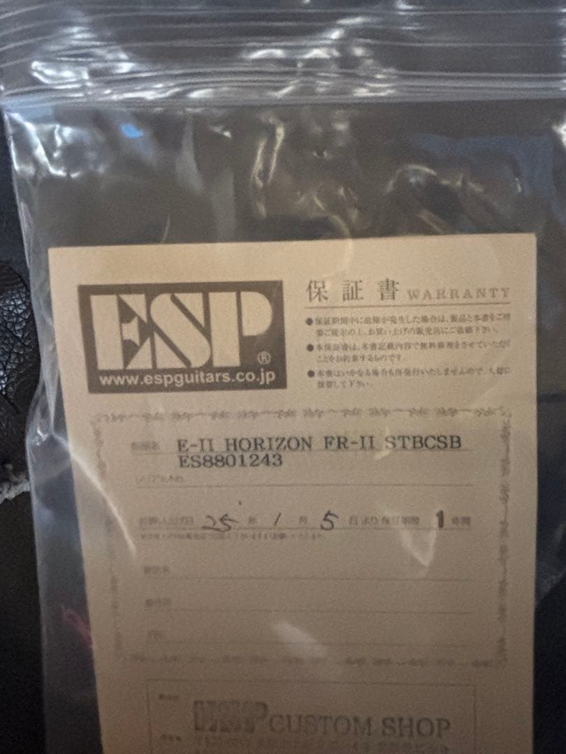 ESP E-Ⅱ HORIZON FR-Ⅱホライズン