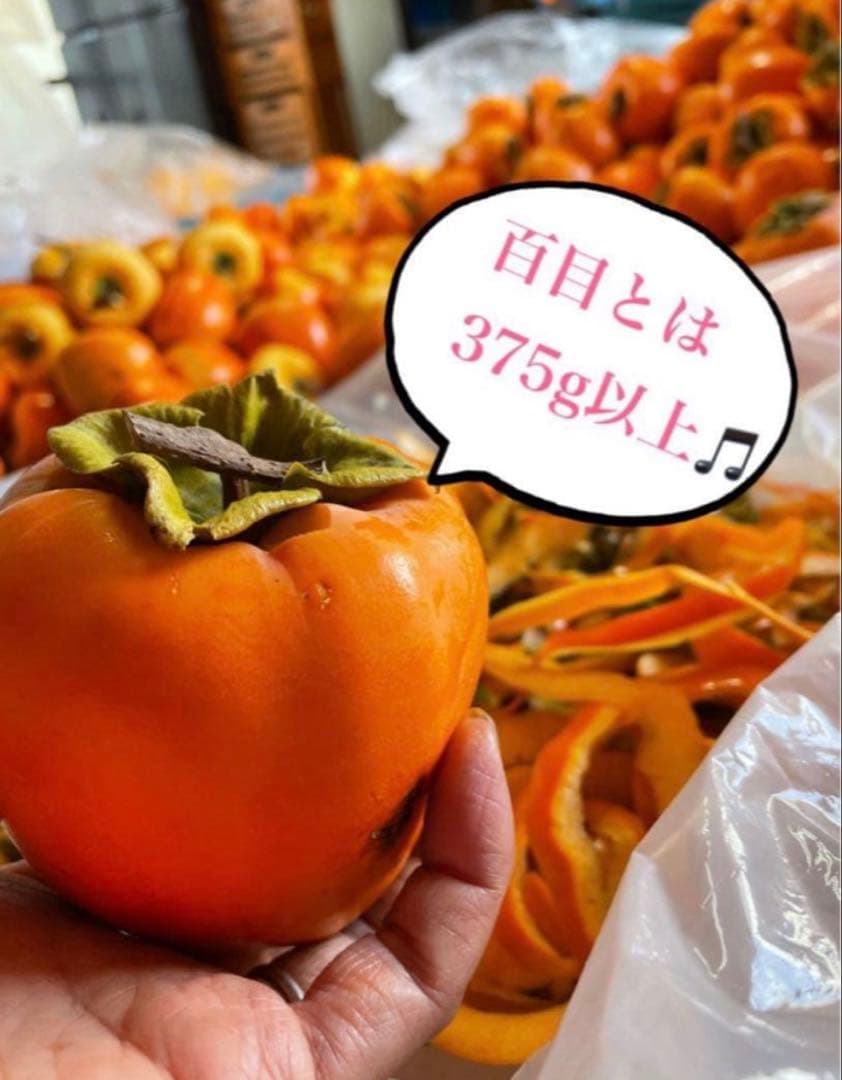 Ｓ（菅本） 特大1号12個入りと3号箱9個入り　2箱セット