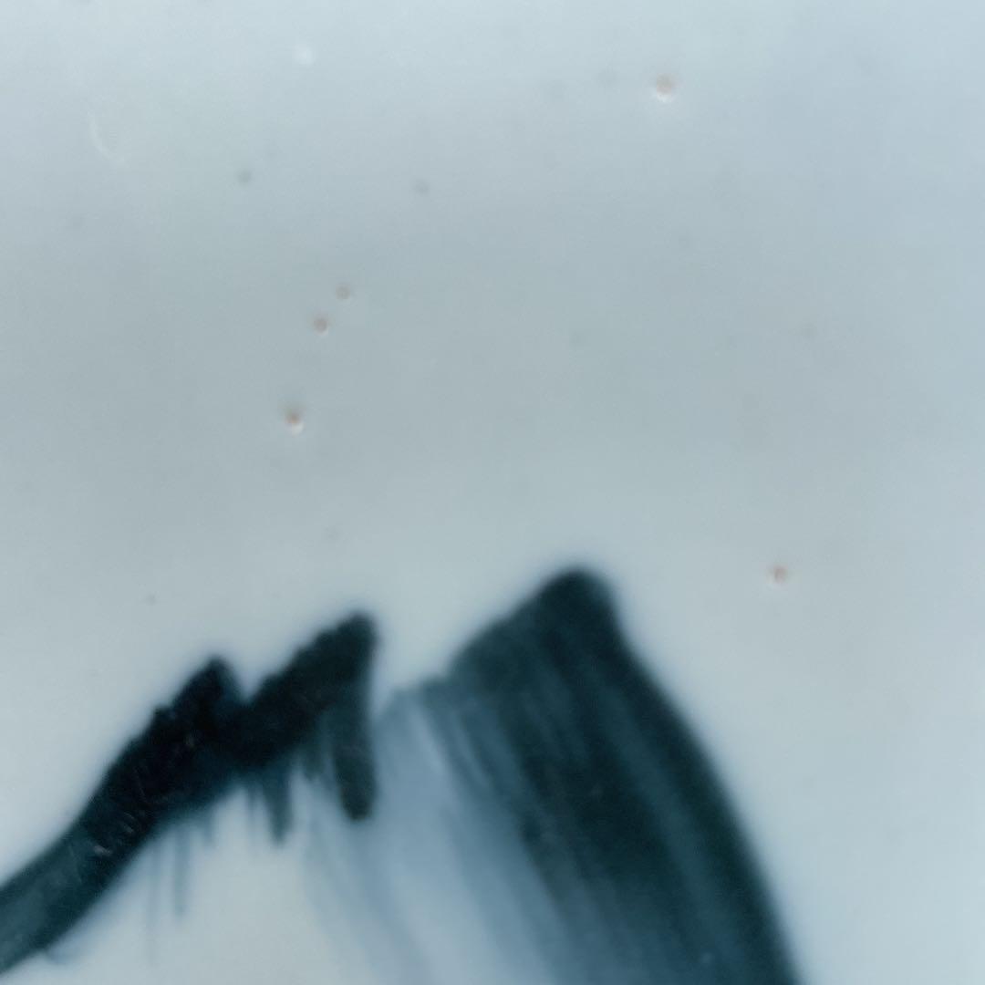 染付絵皿　山水画　25㎝　深皿