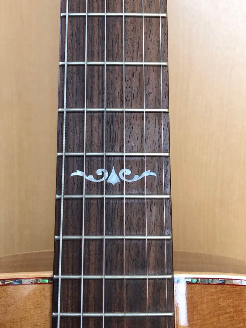 DCT DR-742E エレクトリックアコースティックギター 新品弦+ケース付き