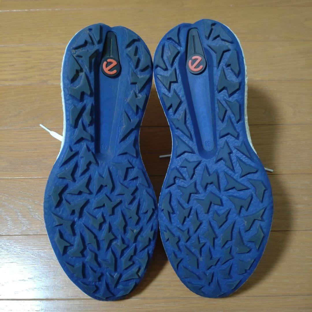 シューズ(男性用) ecco BIOM H5 43