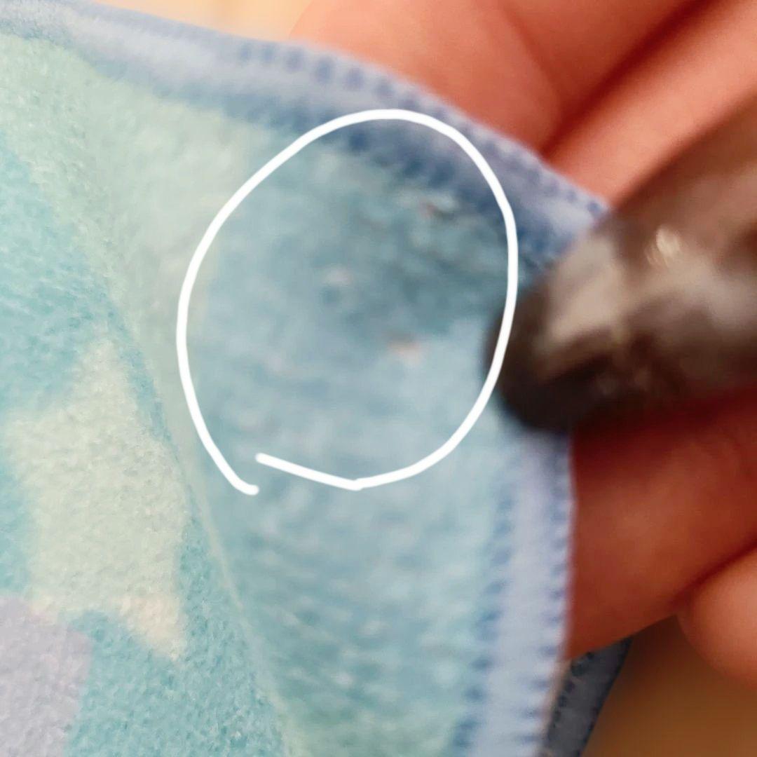 いれいす　ほとけさん　まとめ　グッズ