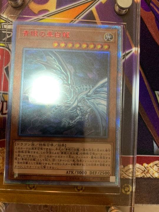 遊戯王 青眼の亜白龍　20th 【極美品】