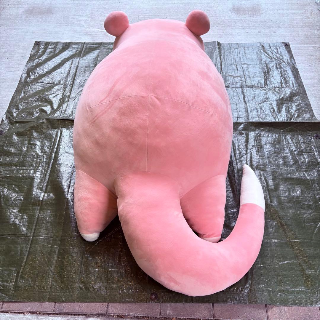 専用枠 ★ Masato様 ★