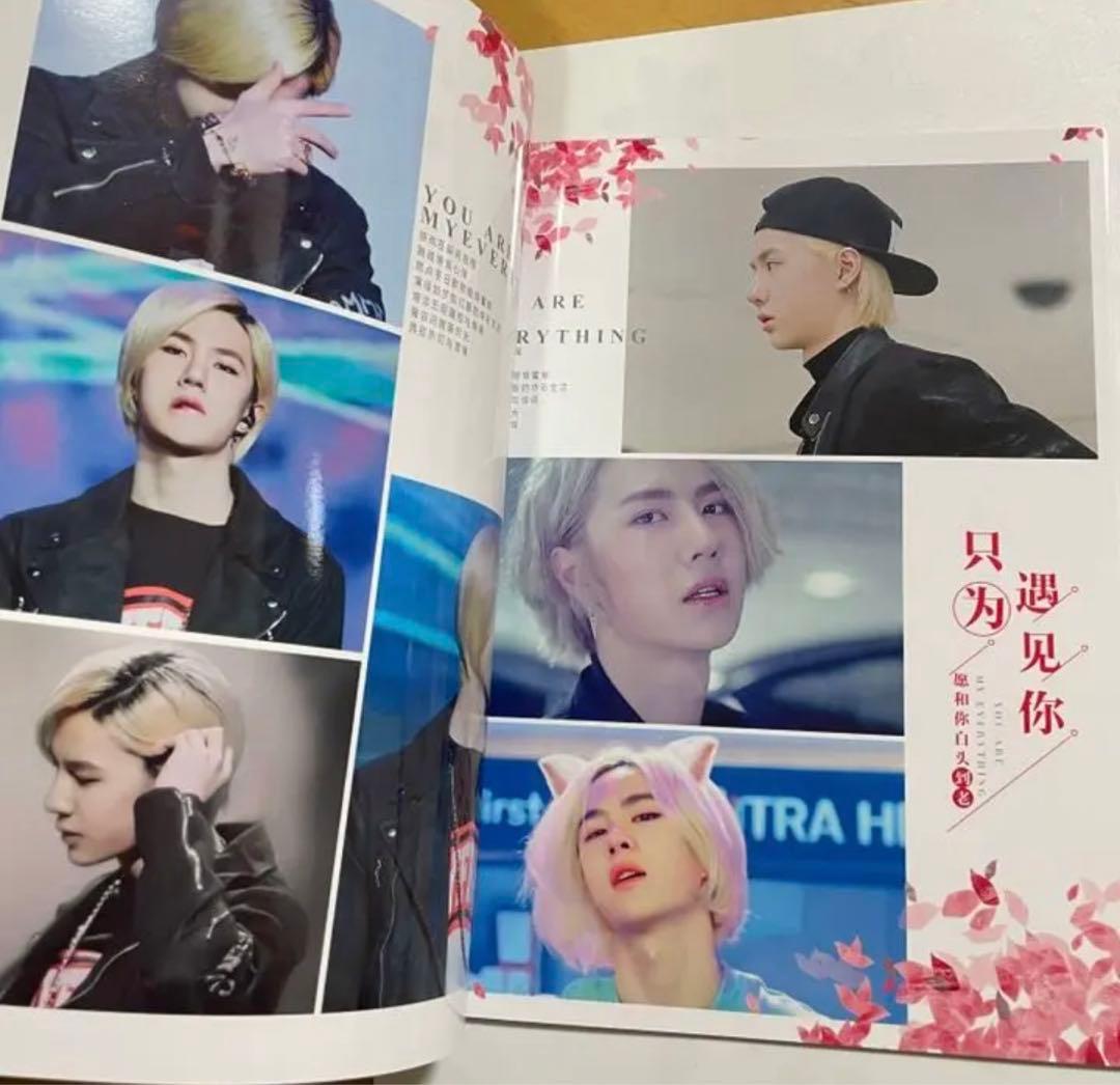 陳情令 王一博 白牡丹特集　写真集