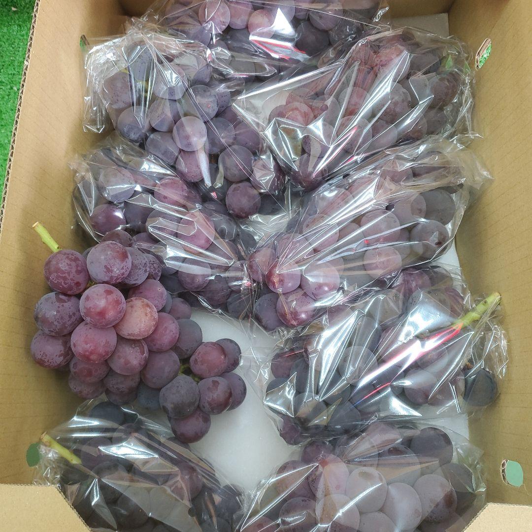 1⃣ 山梨県産 種無し巨峰 ９房入り 箱込み5.5キロ