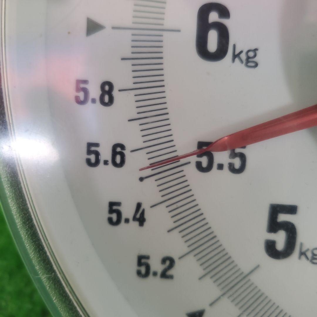 1⃣ 山梨県産 種無し巨峰 ９房入り 箱込み5.5キロ