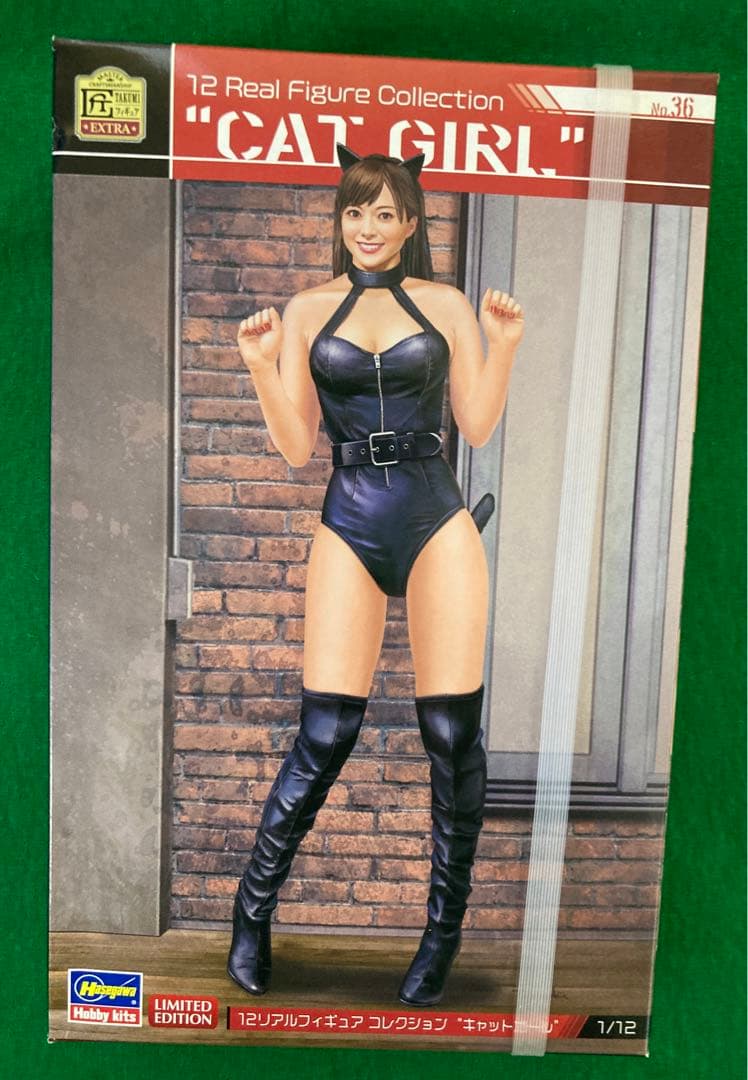 1:12 ハセガワ　レジンキット9種　新品未開封　税込48510円分