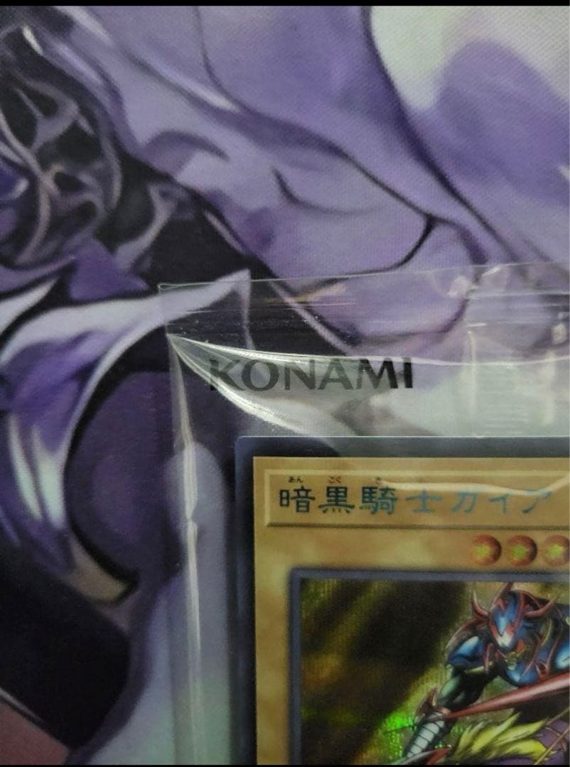 暗黒騎士ガイア　ブルシク