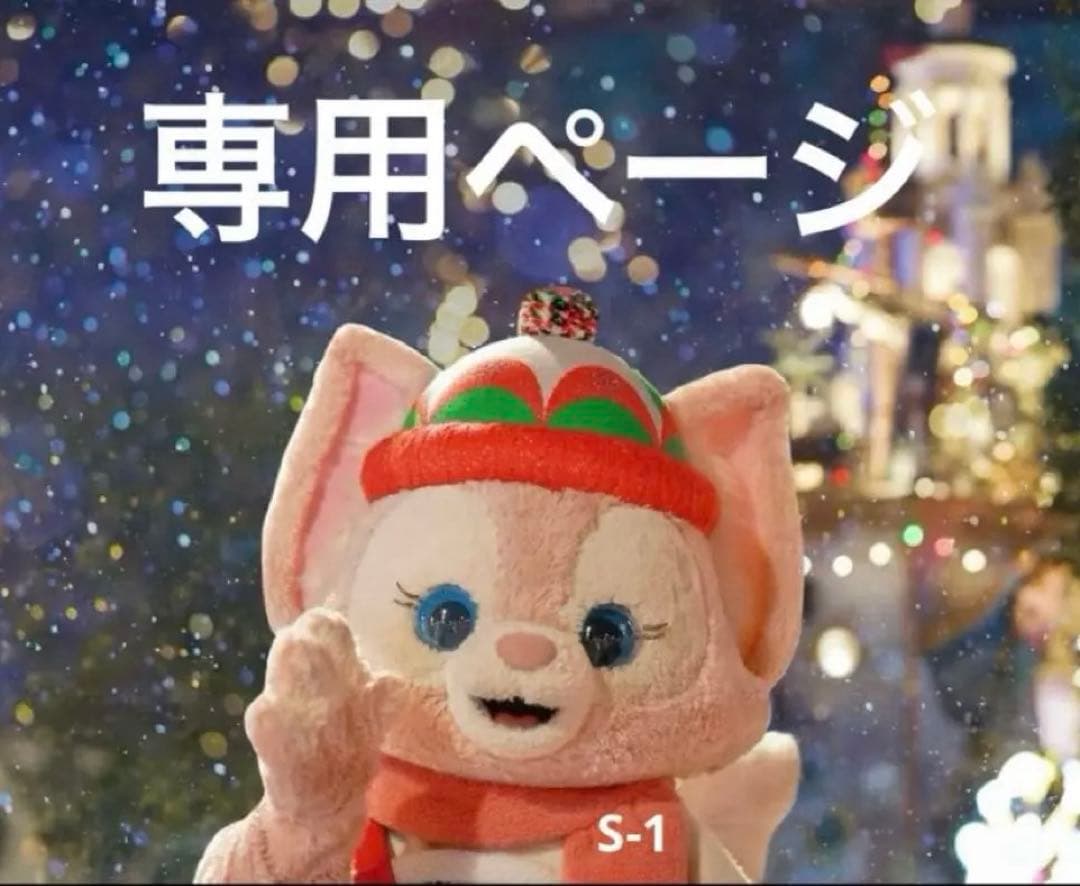 専用ページ　S-1