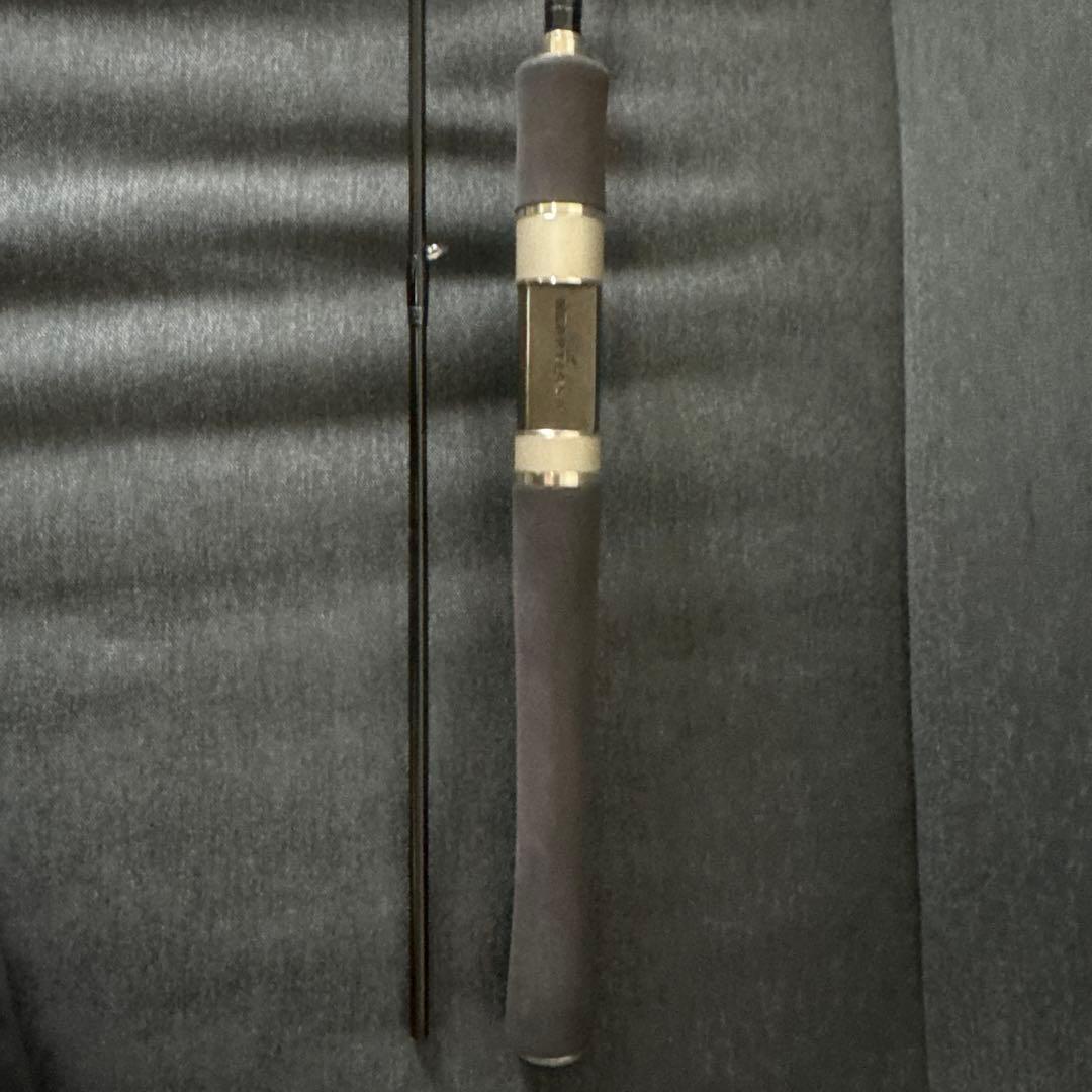 Daiwa ハートランド　別誂　冴掛　HL762LFS-SV10