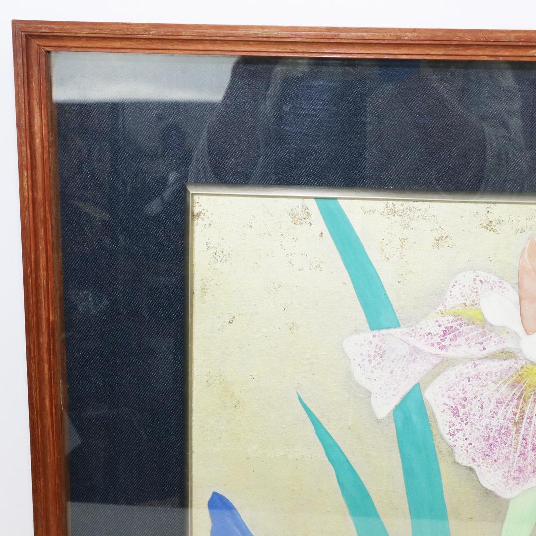 真作 豊秋半次 「菖蒲」日本画 6号 共シール