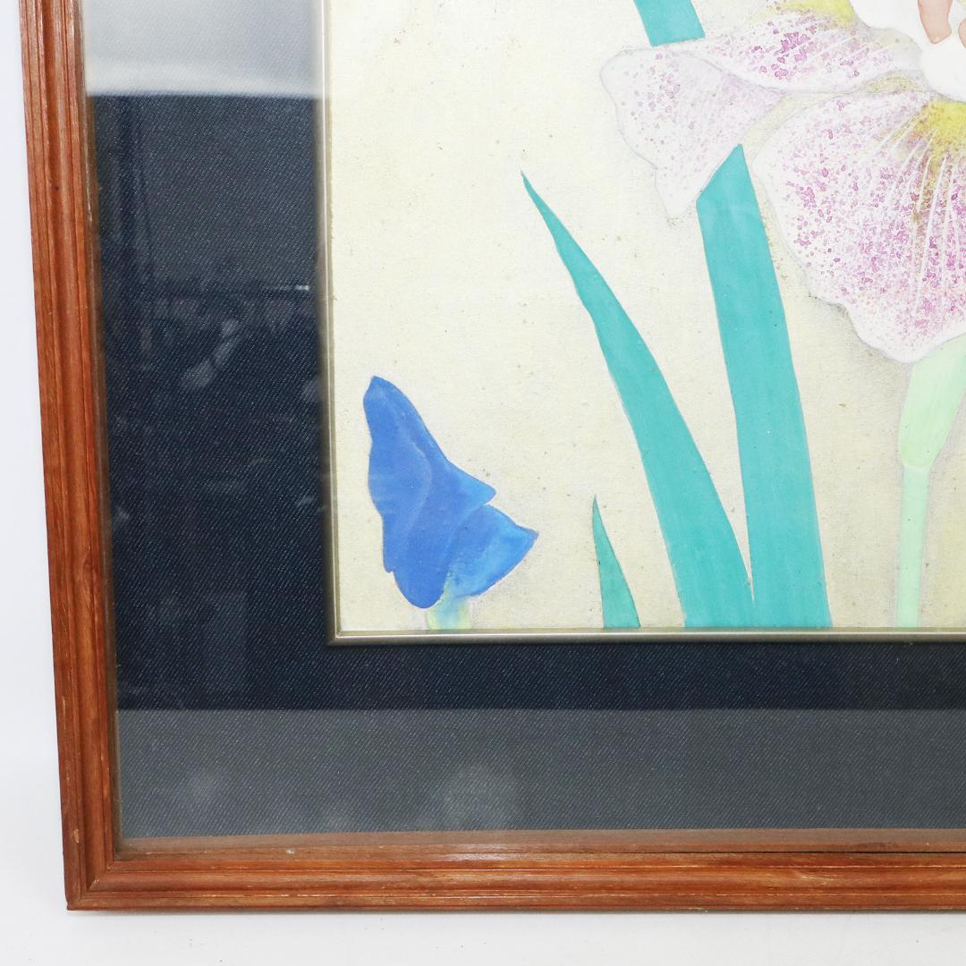 真作 豊秋半次 「菖蒲」日本画 6号 共シール