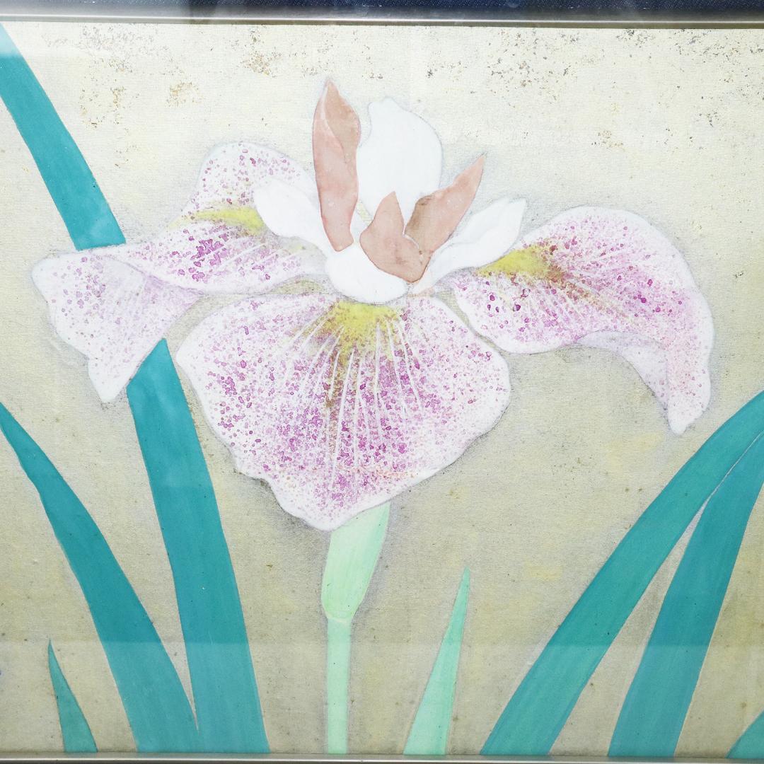 真作 豊秋半次 「菖蒲」日本画 6号 共シール