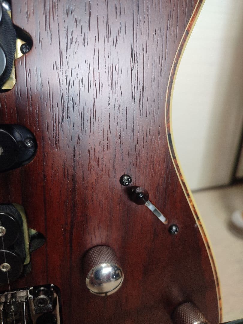 IBANEZ RG870RWZ premium　アメリカ/ヨーロッパ限定モデル