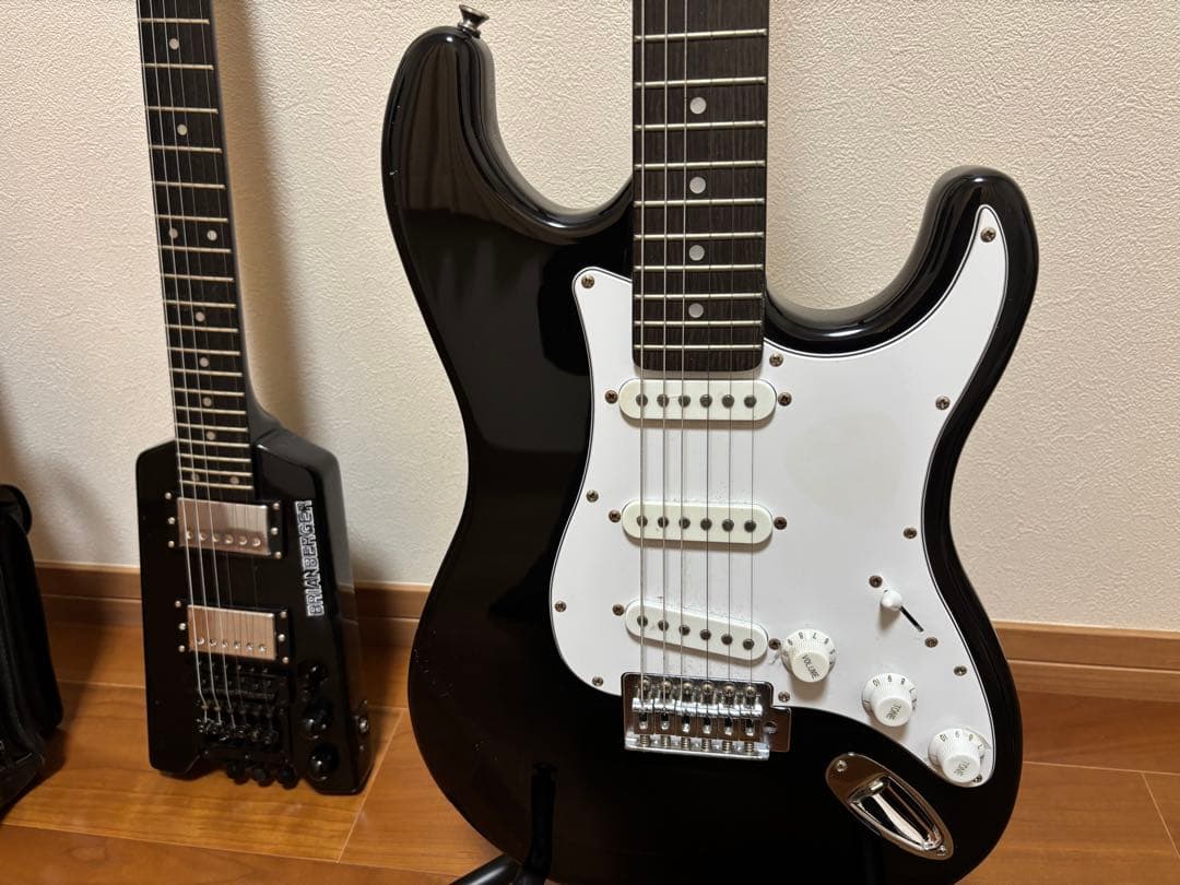 steinberger スタインバーガー タイプ busker's バスカーズ