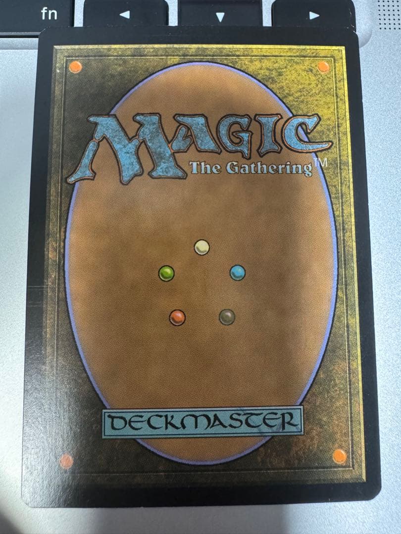 MTG 霧深い雨林 FOIL EXP 英語