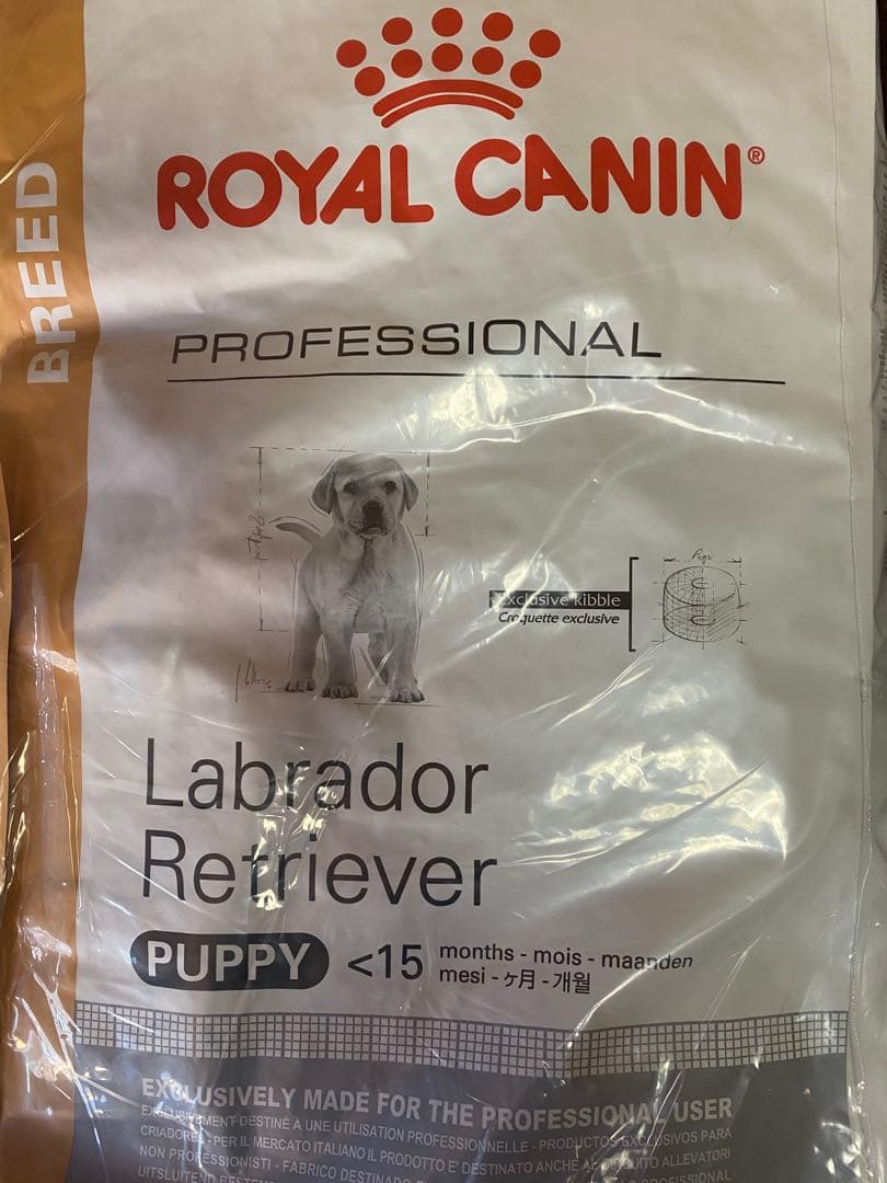 【専用】ロイヤルカナン ラブラドールレトリバー子犬用　１６キロ