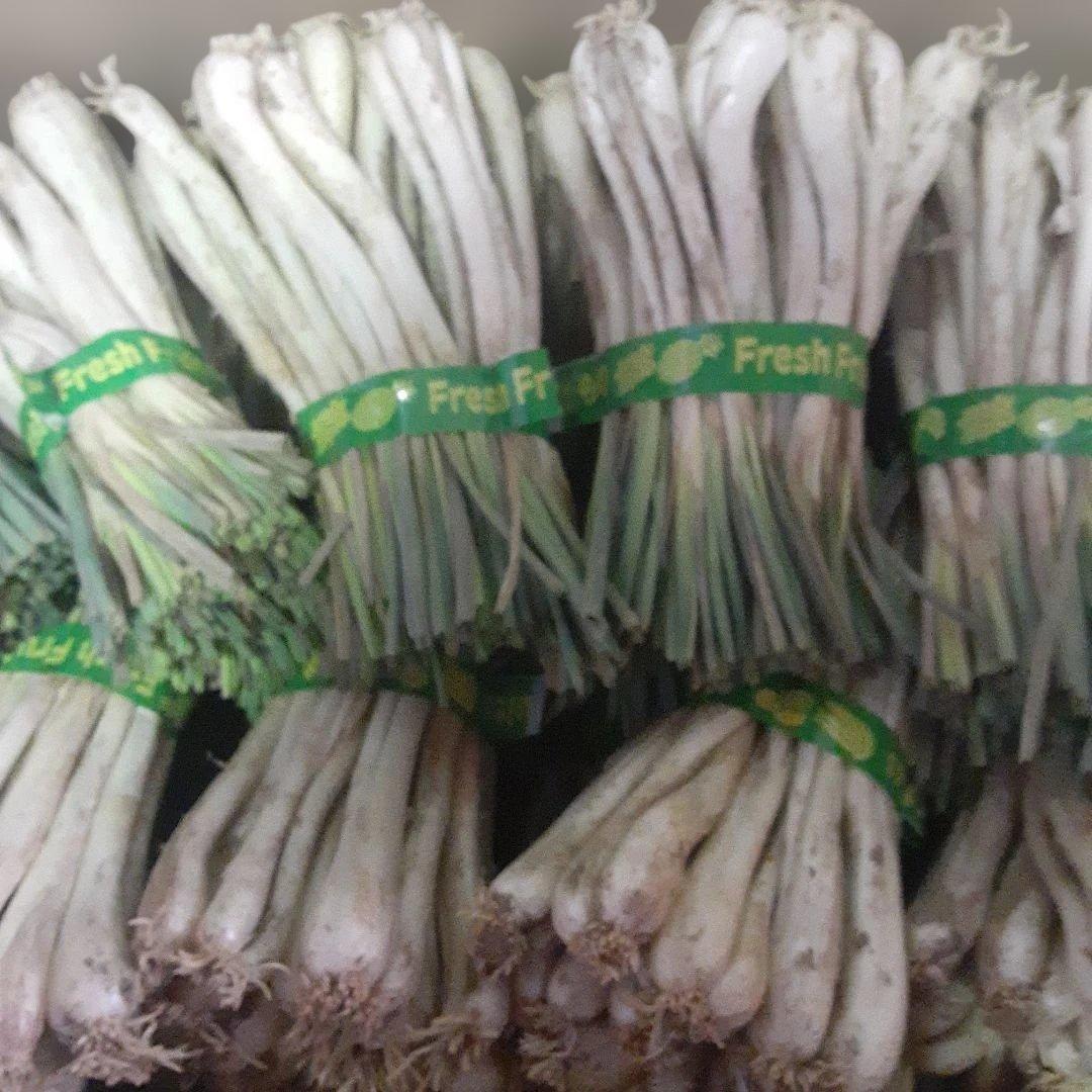 沖縄県産♪島らっきょう10㎏①