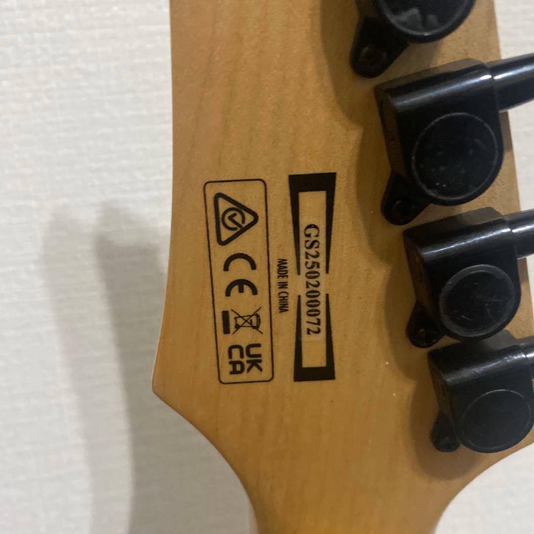 Ibanez RGV250 BK アイバニーズ　エレキギター