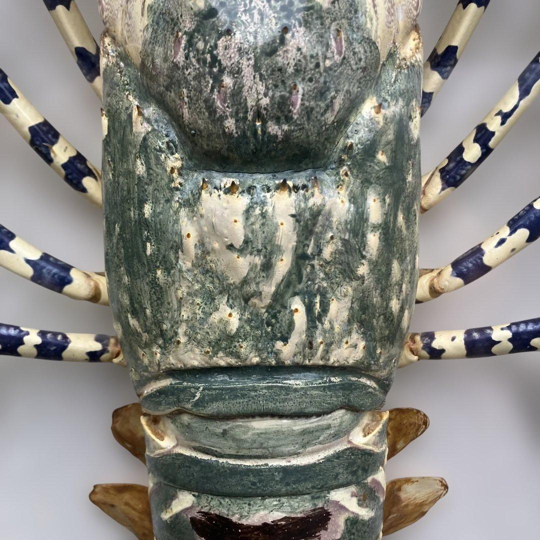 伊勢海老 エビ 剥製 ガラスケース 壁額 壁飾りロブスター標本 大型