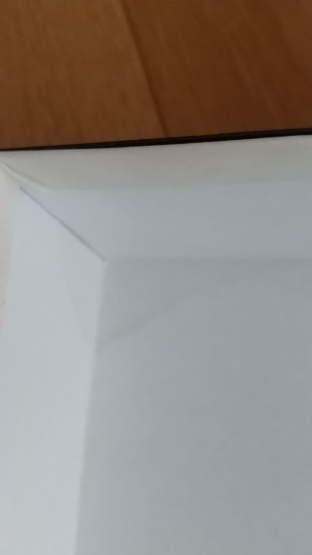 ディズニー 追憶の日々