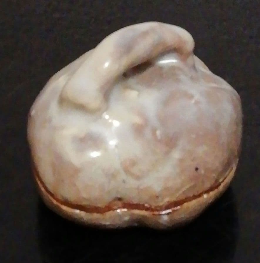 人間国宝　三輪休雪作　萩焼　はじき　香合　共箱　共布　茶道具