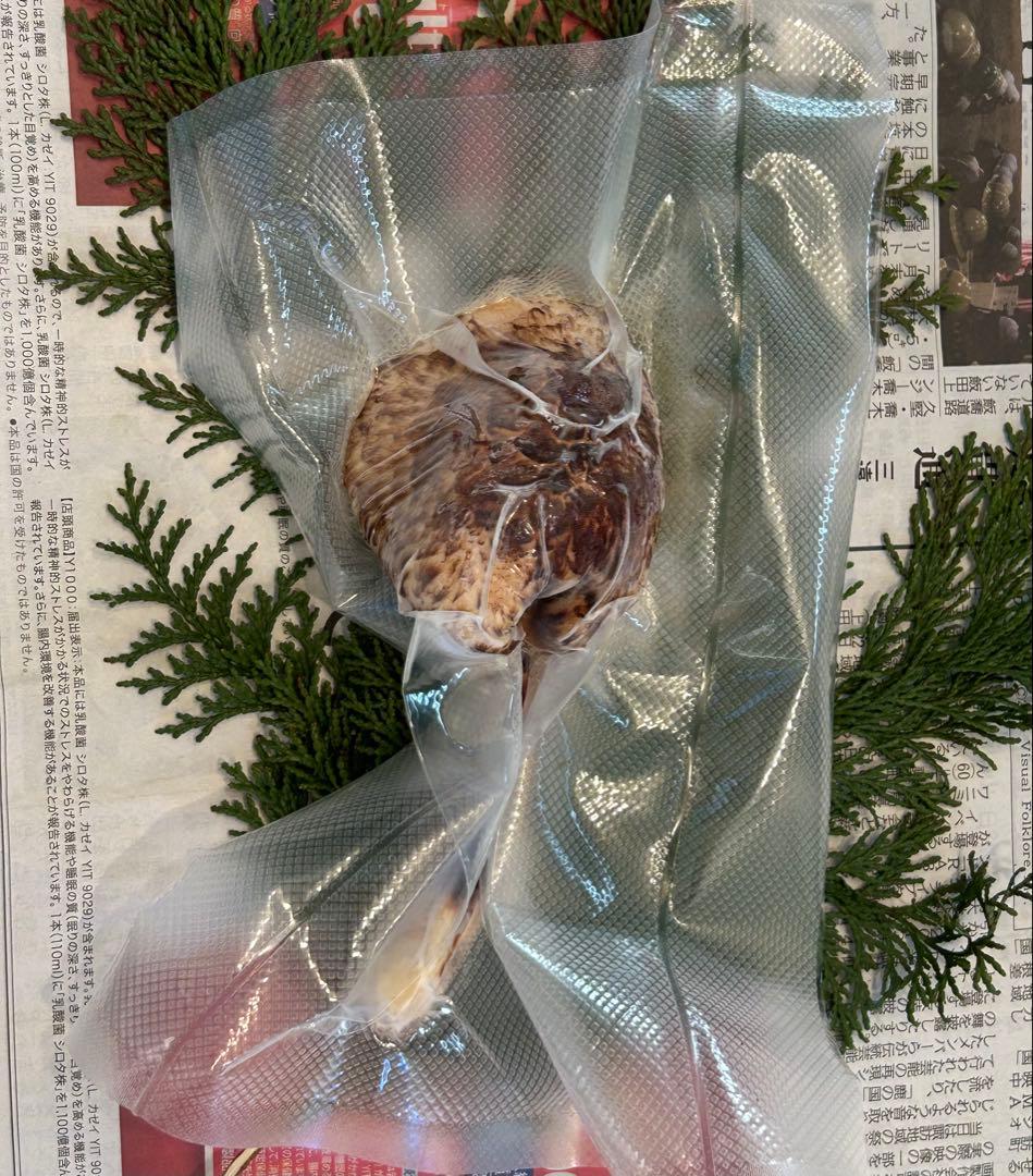 ☆信州産松茸☆開きの冷凍松茸130グラム☆まつたけ☆国産松茸☆⑨☆