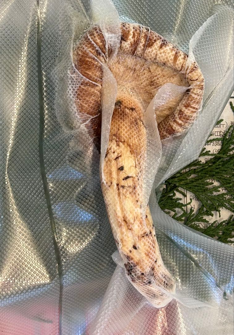 ☆信州産松茸☆開きの冷凍松茸130グラム☆まつたけ☆国産松茸☆⑨☆