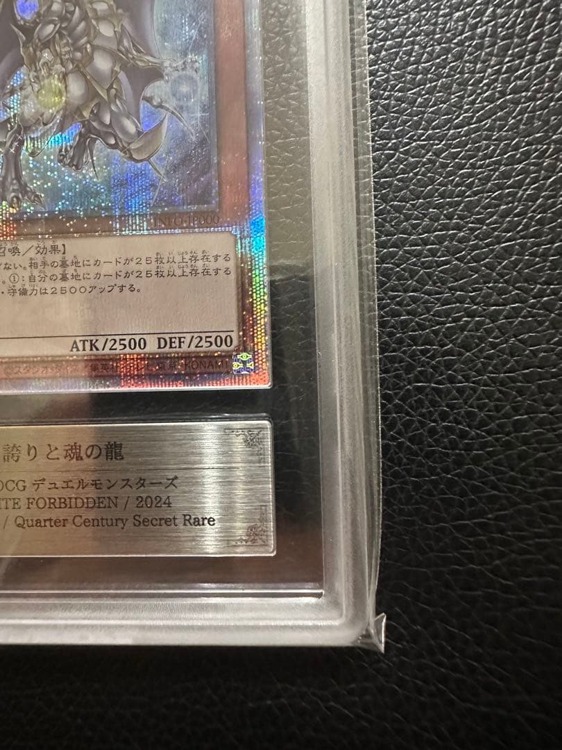 誇りと魂の龍　クオシク　ARS10+