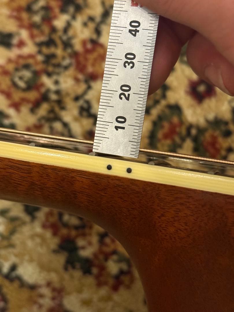 Taylor GS Series 2006年製