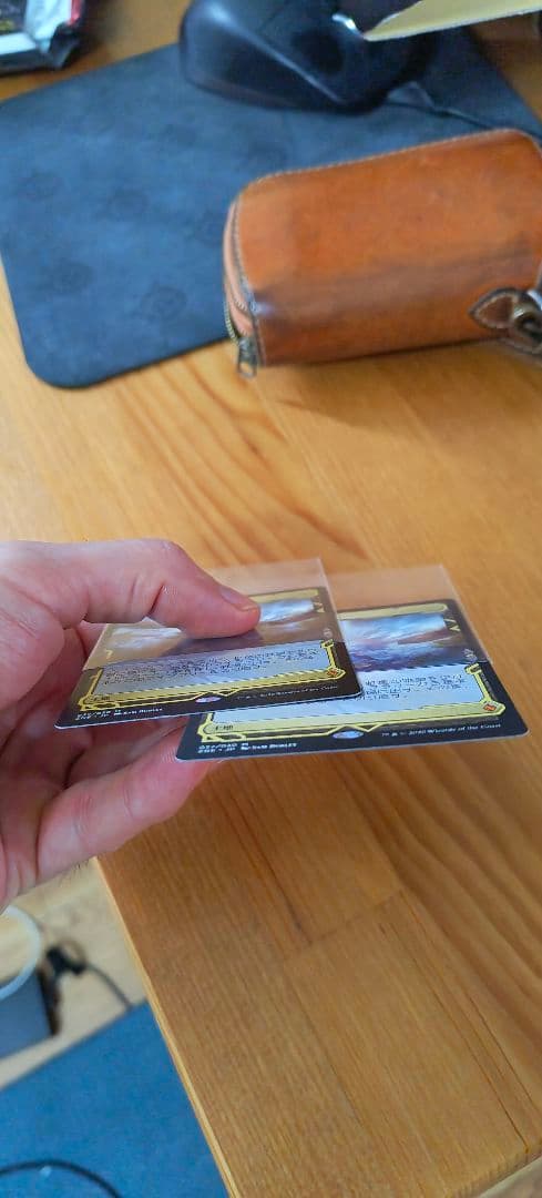 虹色の眺望 日本語版 prismatic vists ２枚 zne