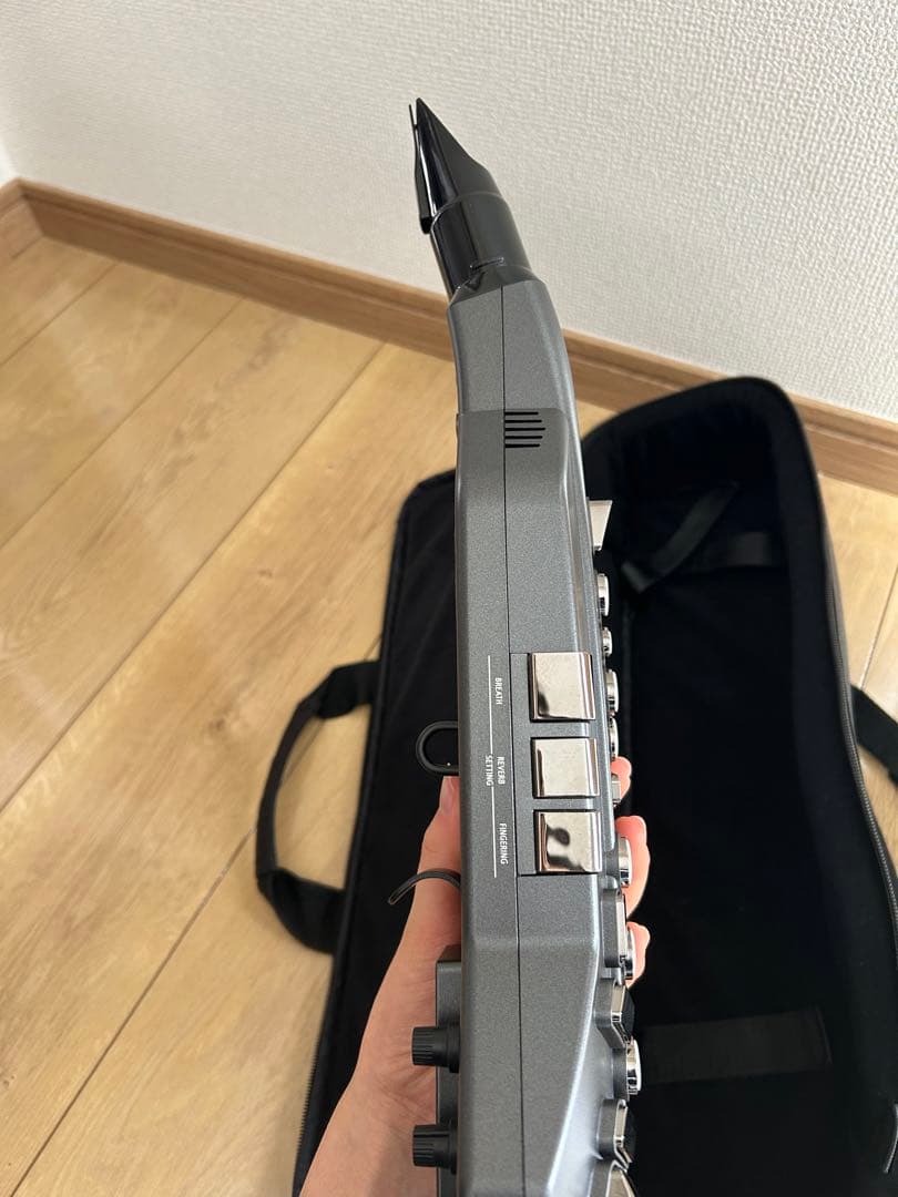 超美品早い者勝ち ローランドエアロフォン AE05