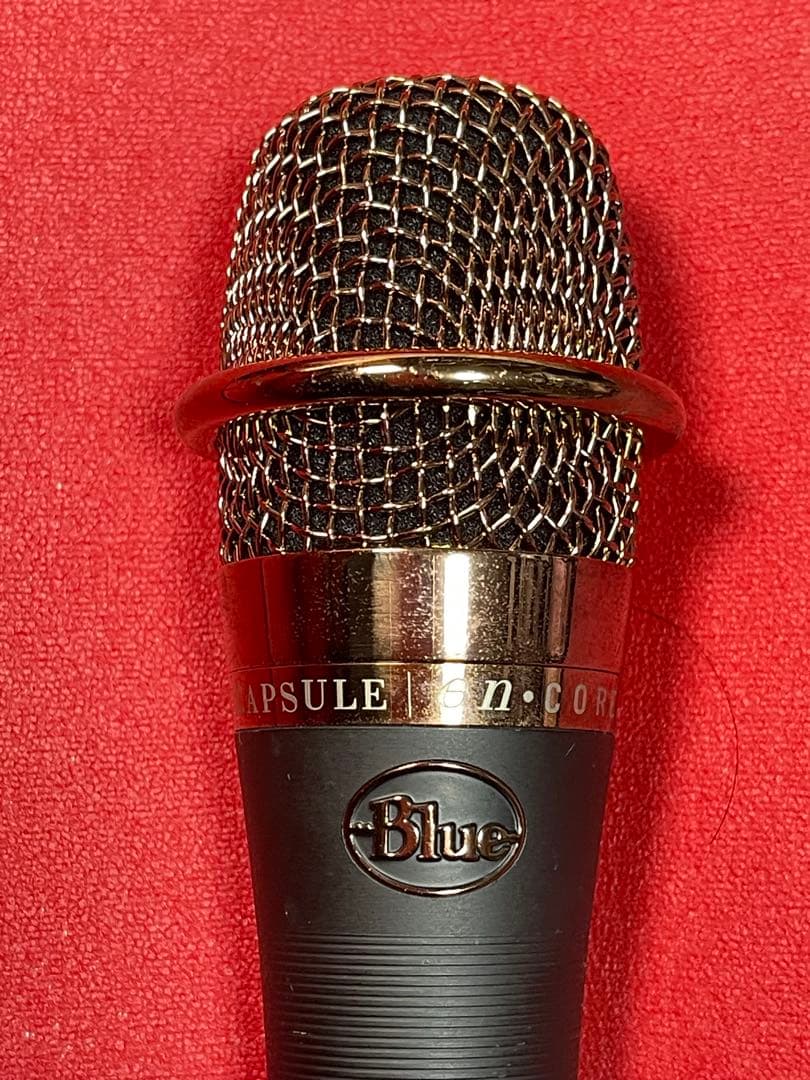 ほぼ未使用 入手困難 Blue enCORE 200 ダイナミックマイク