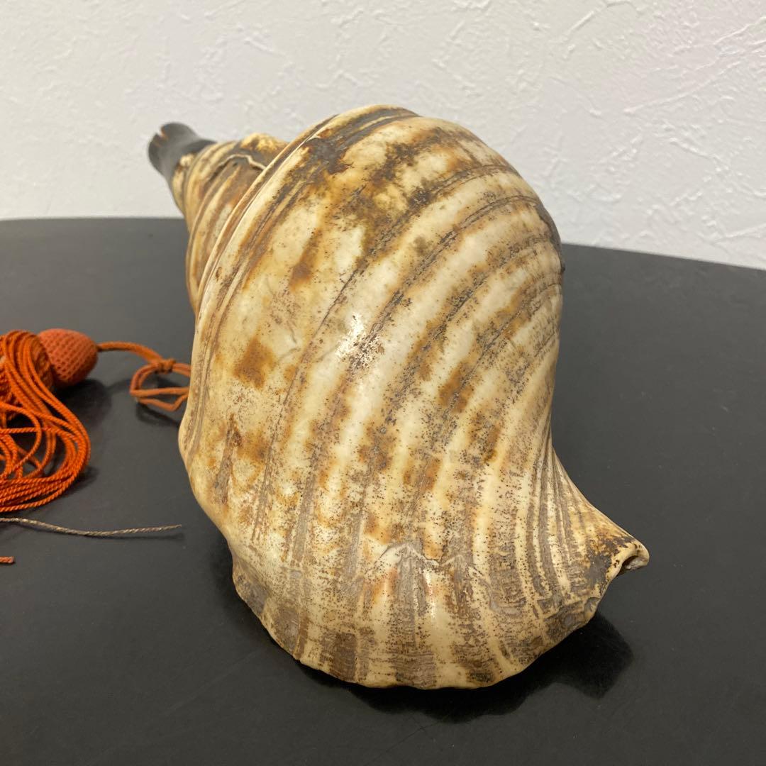 時代物 法螺貝 密教法具 武具 甲冑