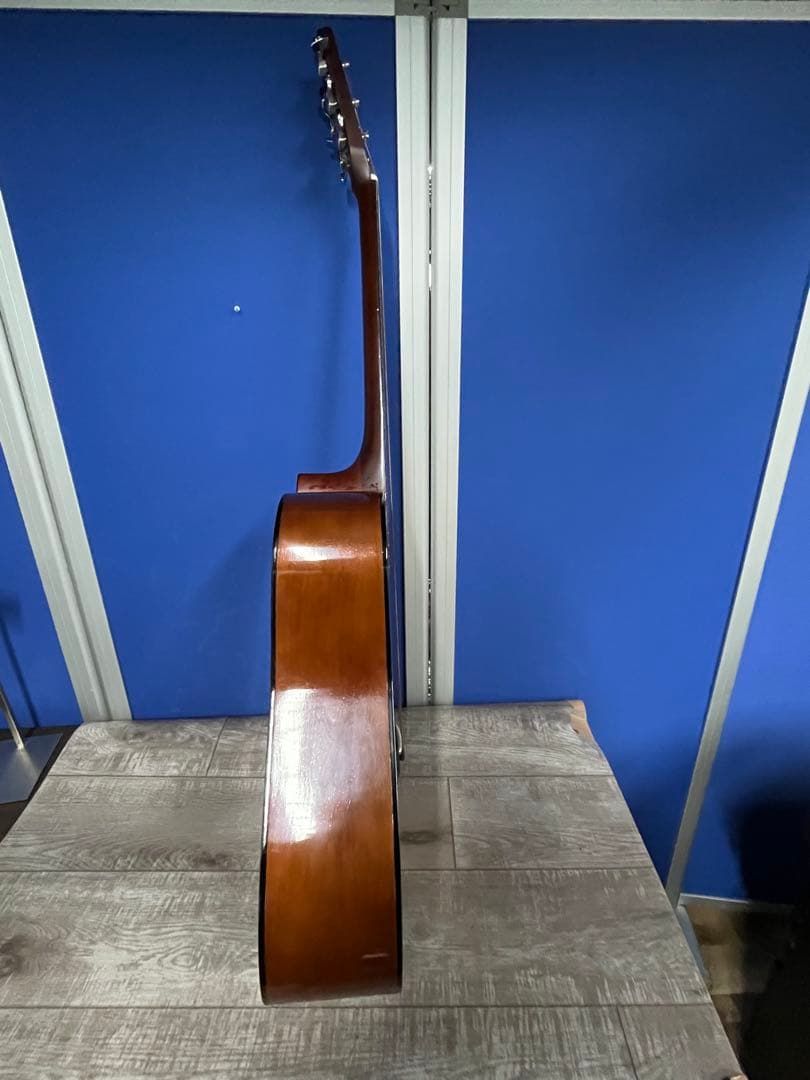 Morris モーリス　アコースティックギター MD-501 ドレッドノート