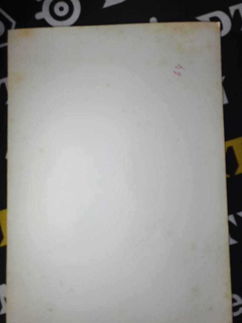 世界に１枚のみ！新庄剛志、生写真