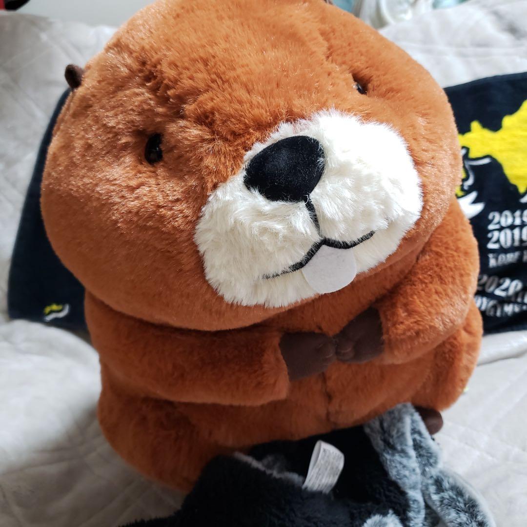 むっちりビーバーたっち ぬいぐるみ スーパー BIG 3個セット　バラ売り可