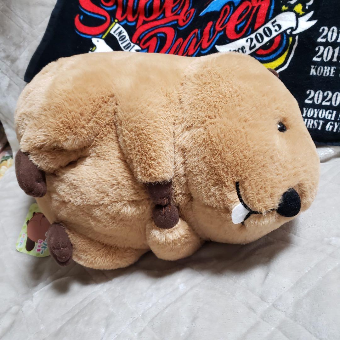 むっちりビーバーたっち ぬいぐるみ スーパー BIG 3個セット　バラ売り可