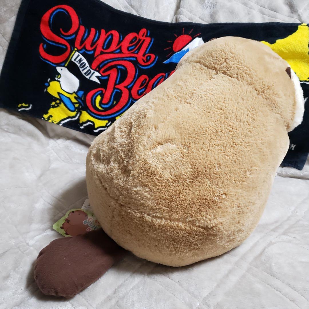 むっちりビーバーたっち ぬいぐるみ スーパー BIG 3個セット　バラ売り可