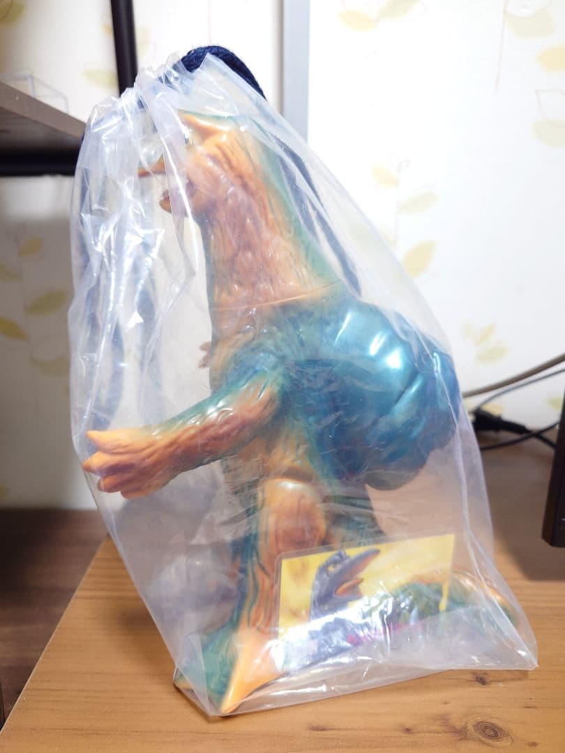 マルサン　カイバーグ