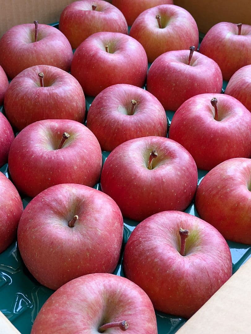 噂の林檎♡高徳♡46玉♡２段詰め♡10kg箱入♡