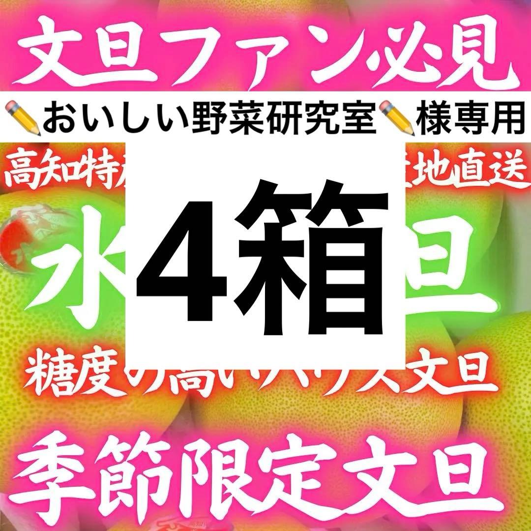 水晶文旦 8～6玉入 約3kg×4箱