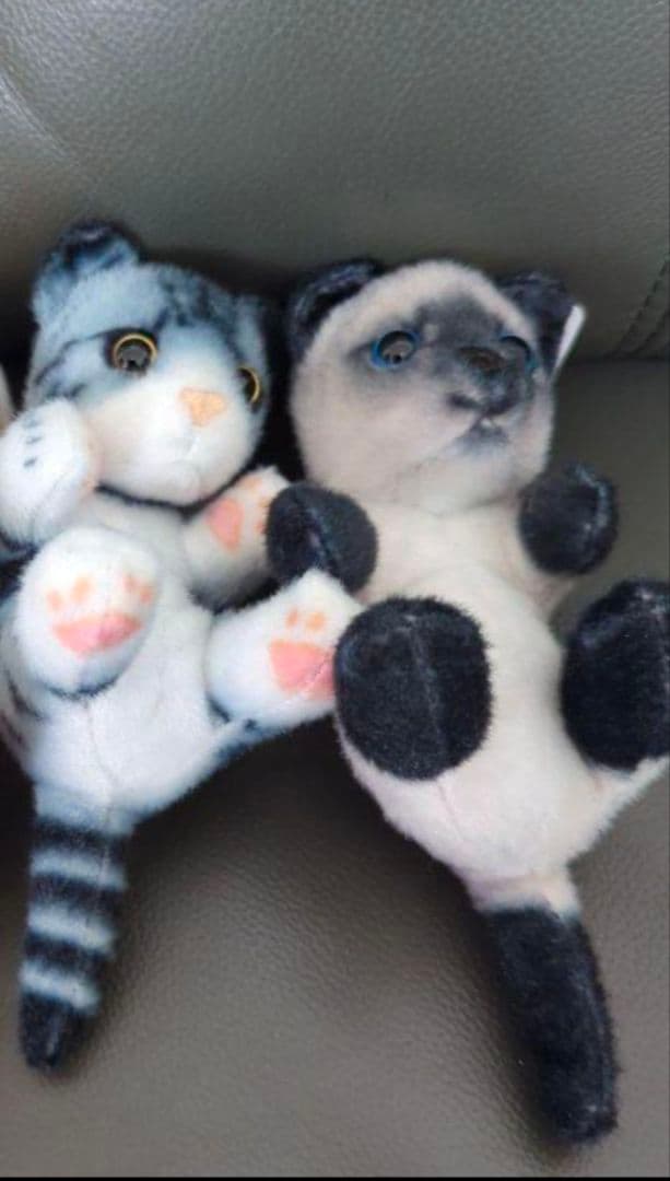 リアル猫 リアルアニマル猫つまんでマスコットBC 猫ぬいぐるみ　２個　セット